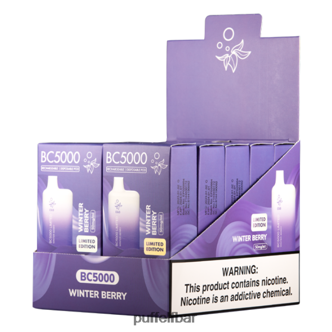 ELFBAR baie d'hiver bc5000 consommateur - 50 mg - unique N48RVT281 - puff ELF BAR 10000