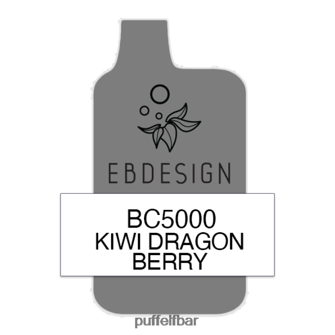 ELFBAR kiwi dragon berry 5000 consommateur - unique N48RVT292 - puff ELF BAR 10000