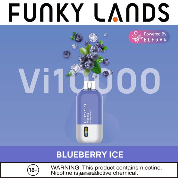 ELFBAR Funky Lands Vape jetable Vi10000 bouffées N48RVT460 - puff ELFBAR 600 glace aux myrtilles