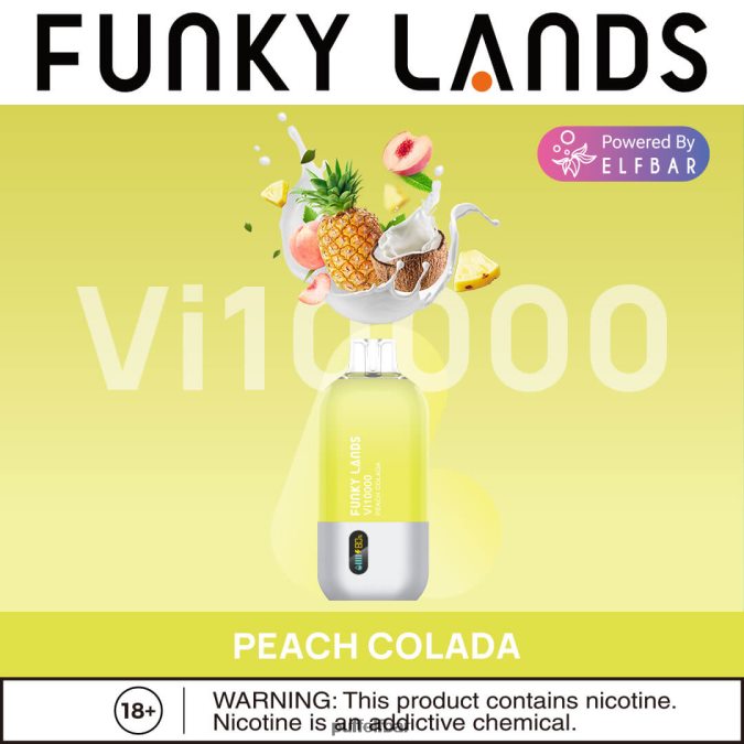 ELFBAR Funky Lands Vape jetable Vi10000 bouffées N48RVT463 - puff ELF BAR rechargeable fraise-kiwi