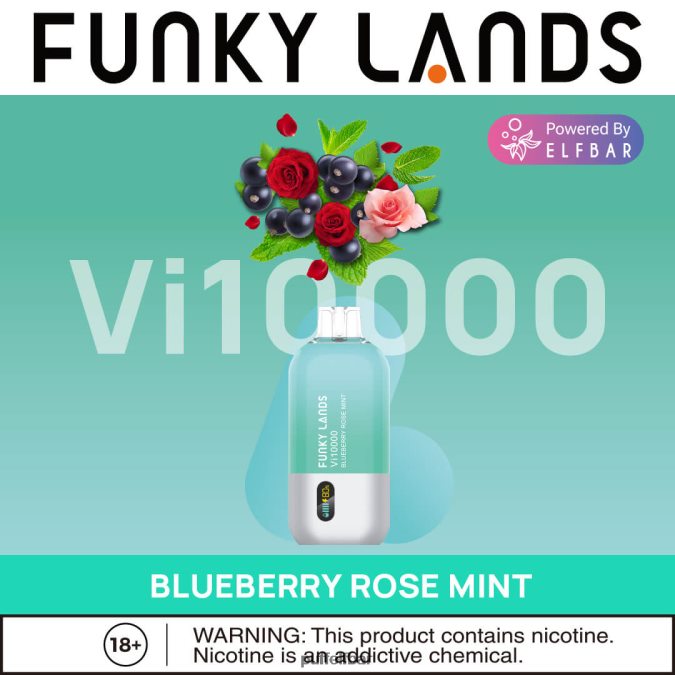 ELFBAR Funky Lands Vape jetable Vi10000 bouffées N48RVT465 - puff ELFBAR 1500 myrtille rose menthe